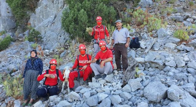 Alanya Akut kayalıklarda mahsur kalan keçiyi kurtardı