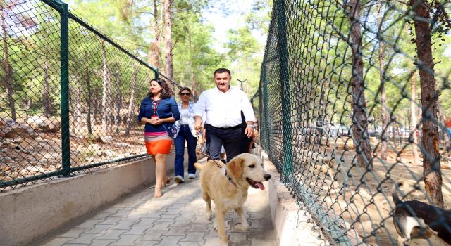 ALANYA BELEDİYESİ KÖPEK BAHÇESİ VE DOĞAL YAŞAM ALANI AÇILDI