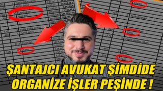 Şantajcı Avukat şimdide organize işler peşinde!